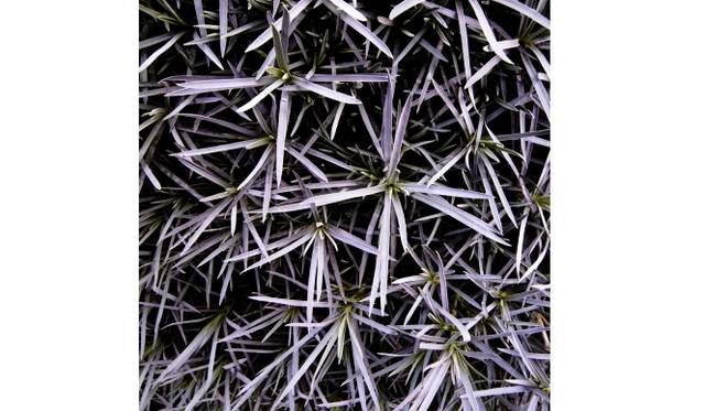 <strong>ART｜鈴木達哉写真展『Patterns in Discontinuity』</strong>　Patterns in Discontinuity　 #039