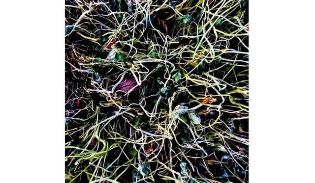 <strong>ART｜鈴木達哉写真展『Patterns in Discontinuity』</strong>　Patterns in Discontinuity 　#044