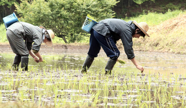 ©2014『家路』製作委員会