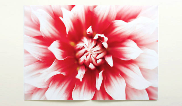 Photographer 森山 智彦