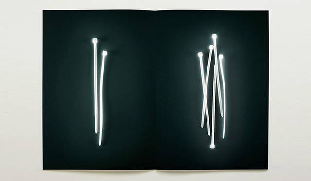 Photographer 渡辺 貴臣