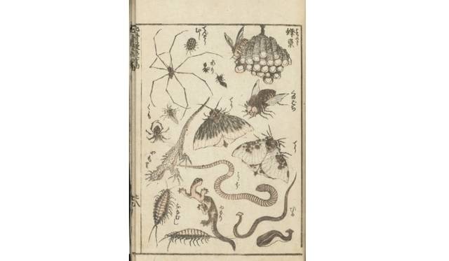 <strong>ART FAIR TOKYO 2014｜アートフェアの核となるセクションとパートナーブースの魅力を公開！</strong>　北斎漫画／浦上蒼穹堂