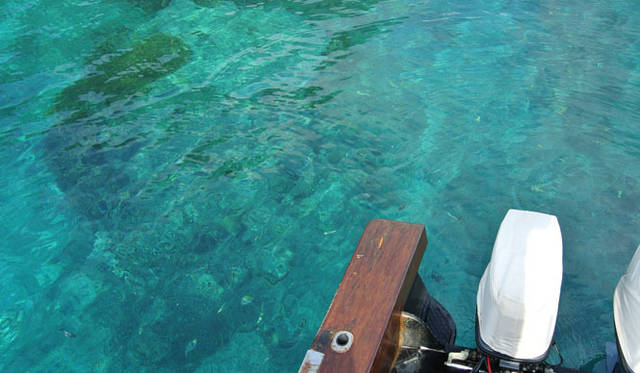 <strong>Amanresorts｜アマンリゾーツ</strong>　「アマンキラ（Amankila）」　浅瀬の海には色あざやかなリーフフィッシュが見られる