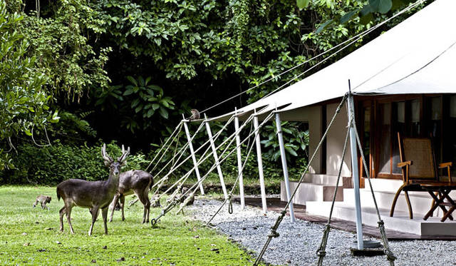 <strong>Amanresorts｜アマンリゾーツ</strong>　「アマンワナ（Amanwana）」　Ocean Tent　© Amanresorts