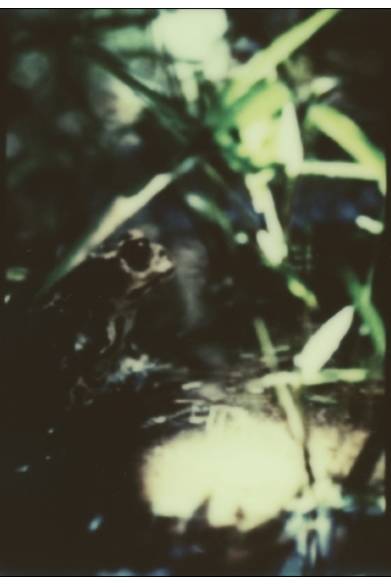 <strong>ART｜写真家の沢渡朔による個展『雨』</strong><br /><br />© Hajime Sawatari<br /><br />会期│3月1日（土）～3月23日（日）<br />時間│12:00～19:00<br />会場│IMPOSSIBLE PROJECT SPACE<br />東京都目黒区青葉台1-20-5 OAK BLD 2F<br />Tel.03-5459-5093