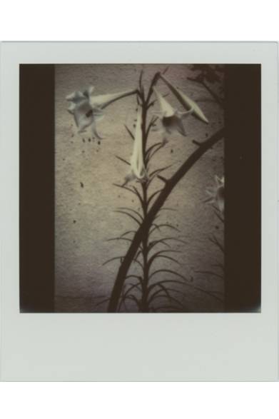 <strong>ART｜写真家の沢渡朔による個展『雨』</strong><br /><br />© Hajime Sawatari<br /><br />会期│3月1日（土）～3月23日（日）<br />時間│12:00～19:00<br />会場│IMPOSSIBLE PROJECT SPACE<br />東京都目黒区青葉台1-20-5 OAK BLD 2F<br />Tel.03-5459-5093