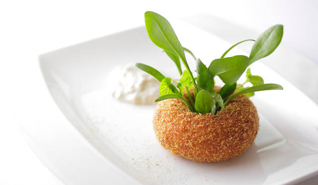 RANGERS VALLEY FILLET