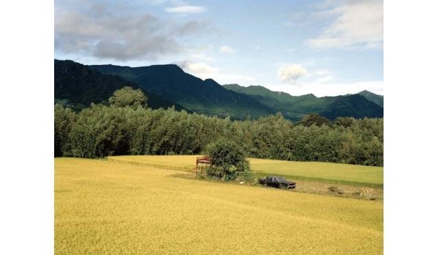 <strong>ART｜フォトグラファー半沢健による写真展『HI-LITE』</strong>　黄色い稲の写真Kumamoto,August 2011 NISSAN Gloria