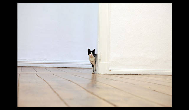 Family Jewels, 2010 (Kunstverein Arnsberg) <br />Photo:Daniel Knorr<br />Courtesy:Collection Andrea and Johannes Teiser, Germany