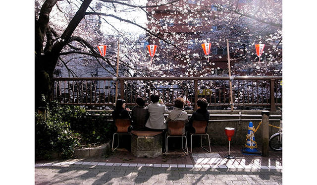東京都目黒区 中目黒 目黒川