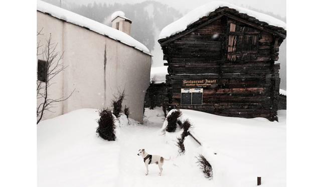 愛する仕事を忘れてひととき、ホッとする場面で、いつも隣にいるのは愛犬のジャックだ。「煮詰まったりすると、どこかに散歩に出かけて気分を紛らわせることが多いので、どこにでも付いてきたがるジャックは、いつも一緒。よく山へ散歩に出かけています」