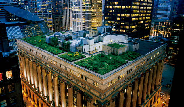 屋上緑化で賞を獲得した、何千種類もの草木が育つ、米国シカゴ市庁舎。 © Diane Cook & Len Jenshel/National Geographic