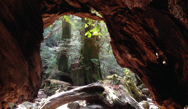 なかは空洞で、空を見上げるとハート型に見える場所があり、登山者には見逃せないポイントとなっている