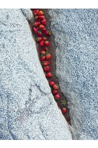 <strong>ART｜代官山 蔦屋書店にてアヤ・ブラケットの写真展「Soiled」開催</strong>　