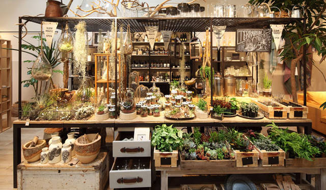 <strong>ACTUS｜アクタス</strong>　ライフスタイルストア「SLOWHOUSE」