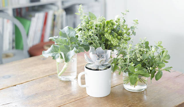 「ALESSI：EAT YOUR GREENS」ビジュアル　© 2014 ISETAN MITSUKOSHI