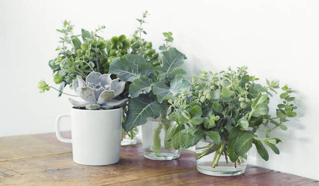 「ALESSI：EAT YOUR GREENS」ビジュアル　© 2014 ISETAN MITSUKOSHI