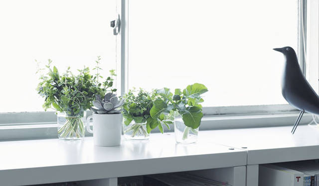 「ALESSI：EAT YOUR GREENS」ビジュアル　© 2014 ISETAN MITSUKOSHI