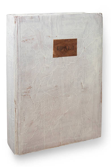 <strong>DUAL 1・DUAL 2</strong><br />著者｜山脇敏次（写真）、出版社｜スタジオアラパージュ