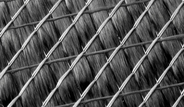 SGL ACF社の第2の拠点であるドイツ、ヴァカースドルフ・イノベーション・パークでは、モーゼスレイク（アメリカ）で生産された炭素繊維の束を、軽量の炭素繊維生地に加工する