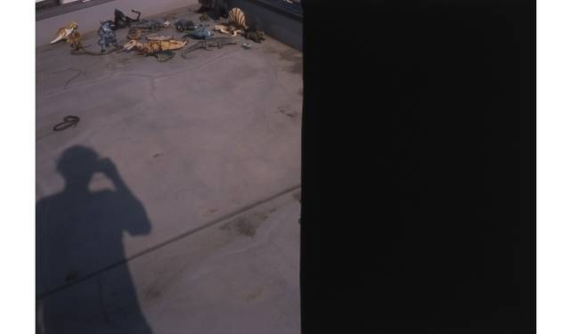 <strong>ART｜タカ・イシイギャラリーで荒木経惟『左眼ノ恋』</strong>　荒木経惟「左眼ノ恋」2014年　RP-Pro クリスタルプリント　ペーパーサイズ：45.7×56cm