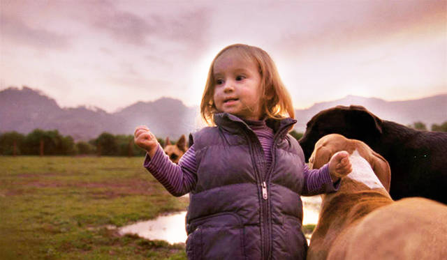 © No Dream Cinema, Mantarraya Productions, Fondo para la producci