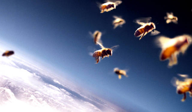 © 2012 zero one film / allegro film / Thelma Film & Ormenis Film