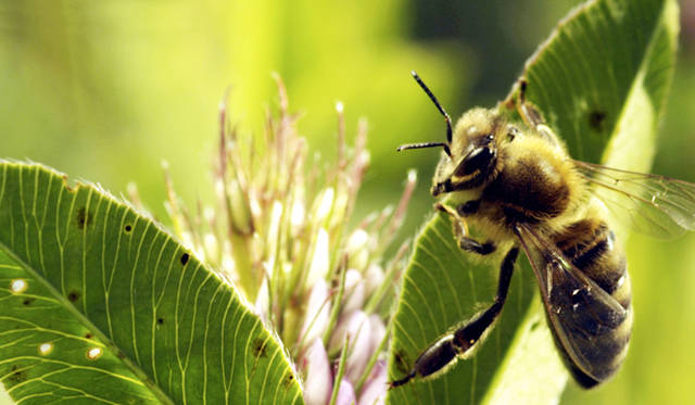 © 2012 zero one film / allegro film / Thelma Film & Ormenis Film