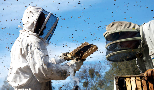 © 2012 zero one film / allegro film / Thelma Film & Ormenis Film