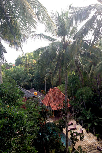 <strong>FLOWARTS YOGA</strong>　「Detox&Energy charge Yoga Retreat.vol2」開催　