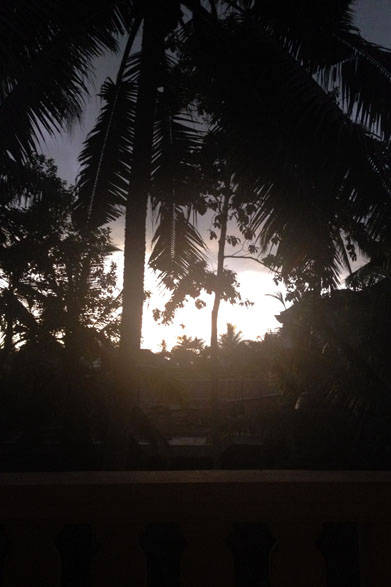 <strong>FLOWARTS YOGA</strong>　「Detox&Energy charge Yoga Retreat.vol2」開催　