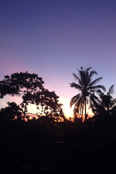 <strong>FLOWARTS YOGA</strong>　「Detox&Energy charge Yoga Retreat.vol2」開催　