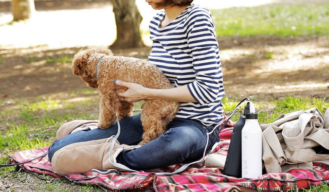 <strong>amidus｜アミダス</strong>　バッテリー「W.E.A. BOTTLE（ウェア ボトル）」