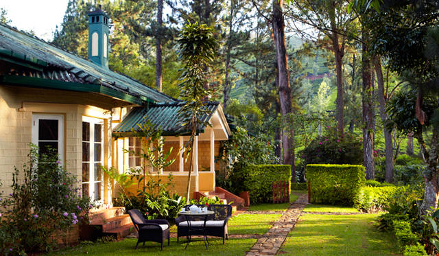 4. スリランカ・ハットン「Ceylon Tea Trails」