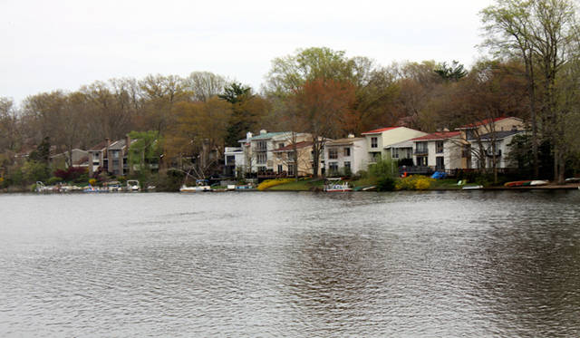 <strong>Yoko Ueno Lewis｜暮らしノート｜進行する環境破壊と超高齢化社会における“Less is More”（前編）</strong>　