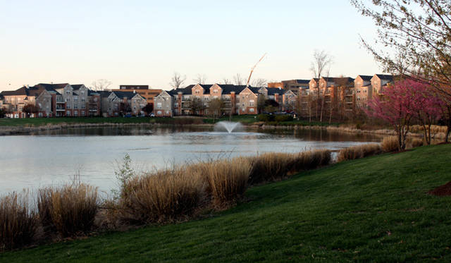 <strong>Yoko Ueno Lewis｜暮らしノート｜進行する環境破壊と超高齢化社会における“Less is More”（前編）</strong>　