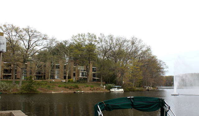 <strong>Yoko Ueno Lewis｜暮らしノート｜進行する環境破壊と超高齢化社会における“Less is More”（前編）</strong>　