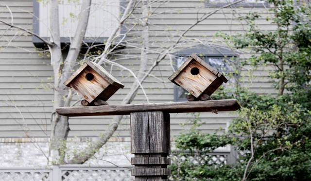 <strong>Yoko Ueno Lewis｜暮らしノート｜超高齢化社会（対エルダーズ）における“Less is More”（中編）</strong>　