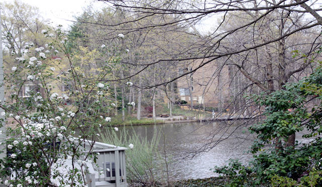 <strong>Yoko Ueno Lewis｜暮らしノート｜超高齢化社会（対エルダーズ）における“Less is More”（中編）</strong>　