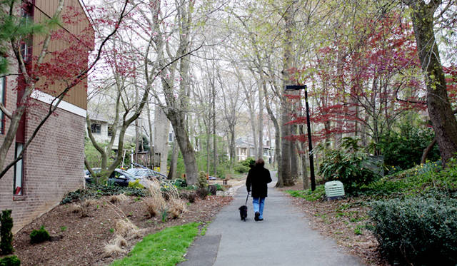 <strong>Yoko Ueno Lewis｜暮らしノート｜超高齢化社会（対エルダーズ）における“Less is More”（中編）</strong>　