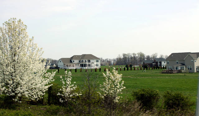 <strong>Yoko Ueno Lewis｜暮らしノート｜進行する環境破壊（対アース）における“Less is More”（後編）</strong>　この環境で家の価格はサンフランシスコエリアより安い