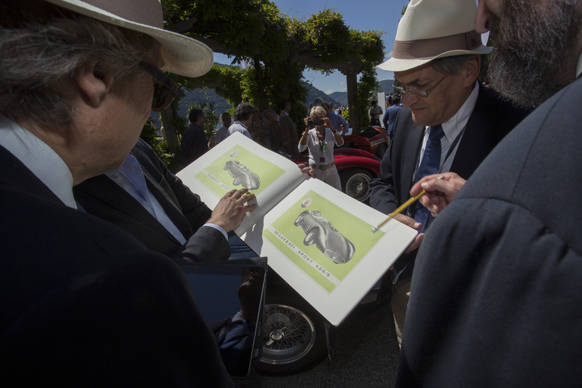 FERRARI 250 GT INTERIM
