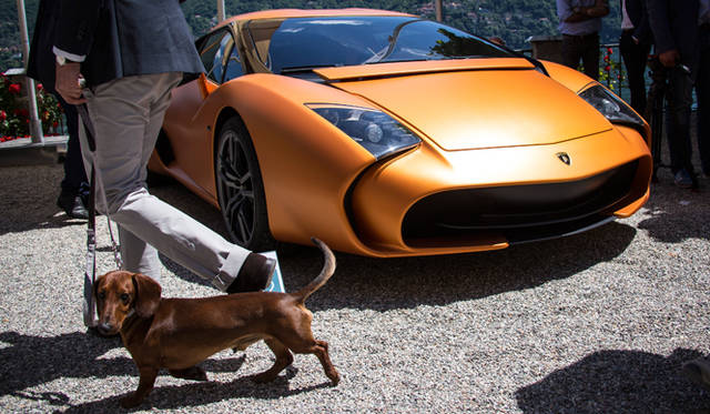 FERRARI 250 GT INTERIM