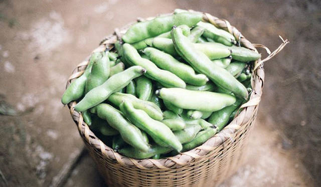 <strong>kagure｜かぐれ</strong>　かぐれ表参道店　定期講座「食と暮らしのものさし作り講座」Vol.4