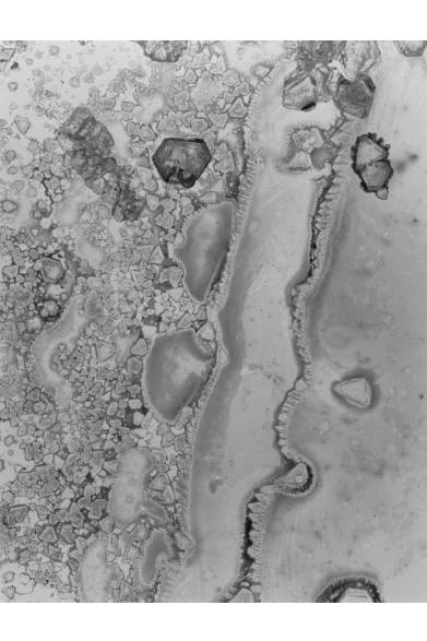 <strong>ART｜細倉真弓『Transparency is the new mystery』展</strong>　alum/river © Mayumi Hosokura