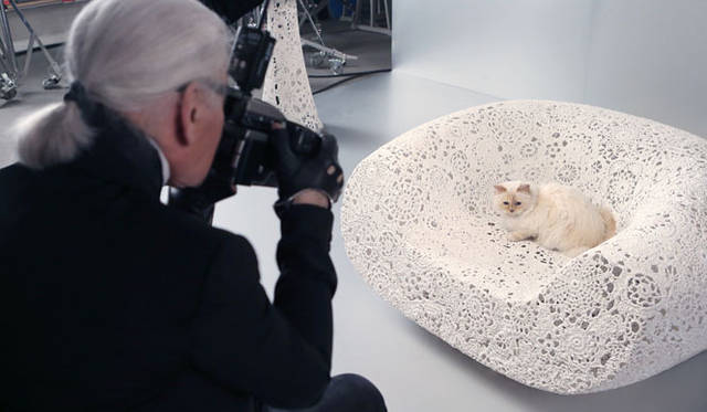 世界一有名なセレブリティキャットのChoupette Lagerfeld （シュペット・ラガーフェルド）