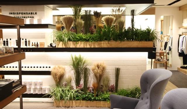 <strong>INDISPENSABLE STRASBURGO