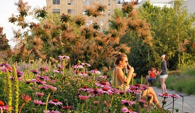 <strong>INDISPENSABLE STRASBURGO｜インディスペンサブル ストラスブルゴに「Urban Garden」誕生</strong>　ニューヨークの公園「High Line」