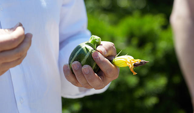 pirouette_665_62 「須永農園」視察の様子