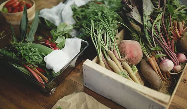 pirouette_665_55 「須永農園」から届いた野菜